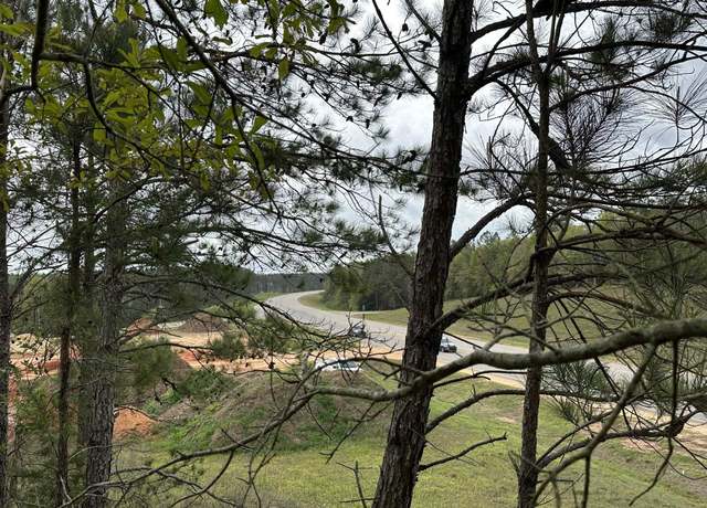 Property at 6103 East Lloyd Mill Rd, Red Level, AL 36474