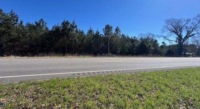 Photo of 1ac Hwy 141, Brantley, AL 36009