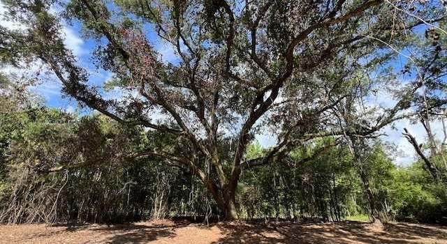 Photo of 3 ac Laird Rd, Florala, AL 36442