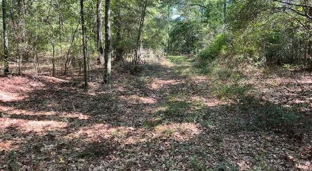 Photo of 000 County Road 70, Sand Rock, AL 36467