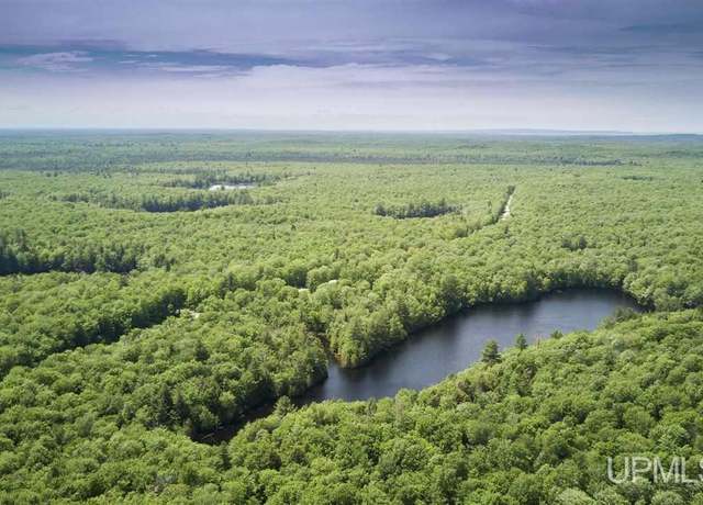 Property at 0 H58 Rd, Shingleton, MI 49884