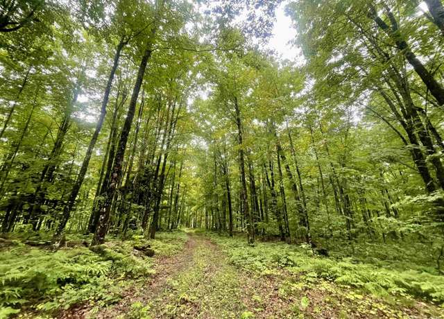 Property at 160 Acres N Fordville Trl, Hardwood, MI 49880