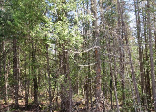 Property at TBD Rice Rd, Lake Linden, MI 49945