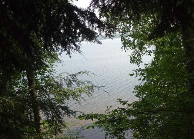 Property at TBD Autrain Forest Rd, Au Train, MI 49806