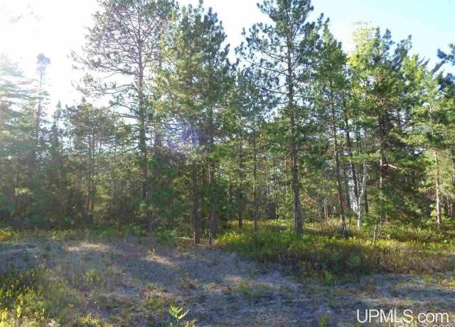 Property at 51734 Rice Rd, Lake Linden, MI 49945