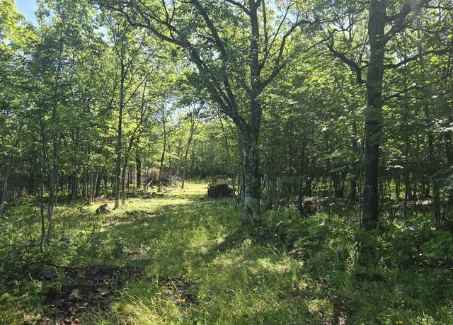 Property at 1021 Sedar Hill(parcel C) Rd, Mohawk, MI 49950