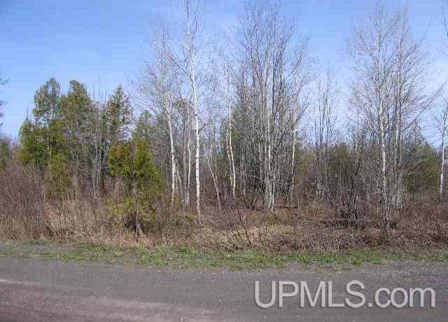 Property at Lot 1 Airport Rd, Calumet, MI 49913