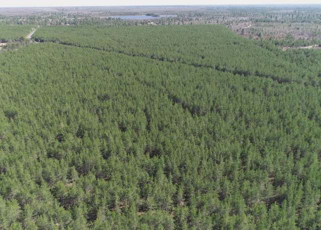 Property at Parcel 5 Rice Rd, Gwinn, MI 49841