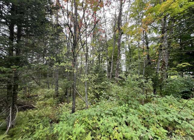 Property at TBD W Brule Rd, Iron River, MI 49935
