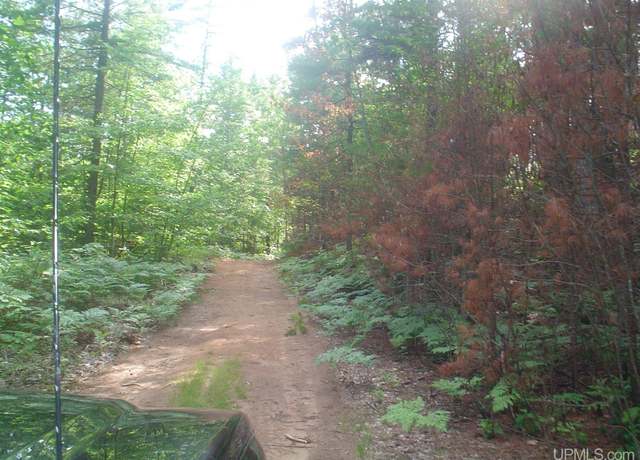 Property at 9040 Bone Rte, Newberry, MI 49868