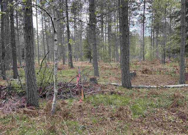 Property at TBD Parcel 1 Paint Rd, Crystal Falls, MI 49920