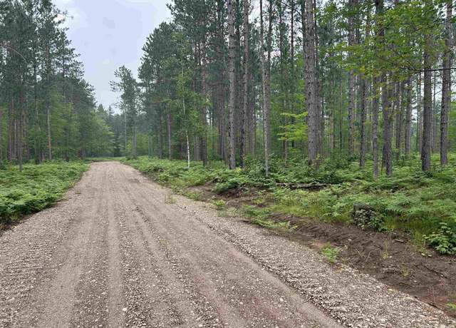 Property at TBD Parcel 1 Paint Rd, Crystal Falls, MI 49920