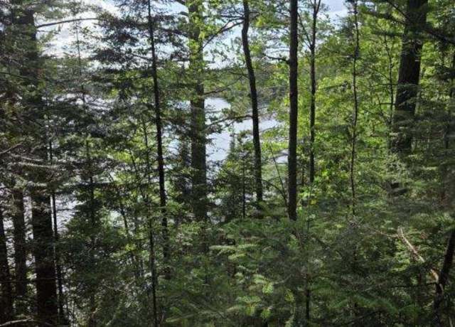 Property at TBD W Paint Rd, Iron River, MI 49935