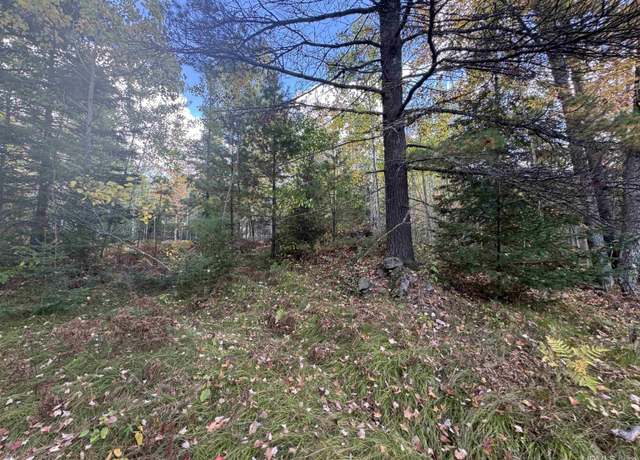Property at 10 ac Paint Rd, Crystal Falls, MI 49920