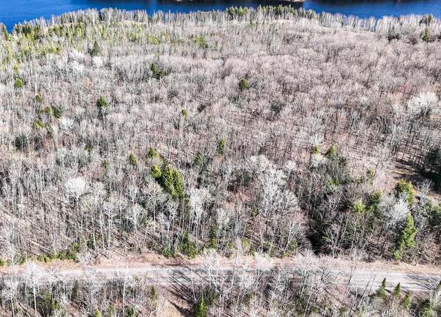 Property at On Chaney Rd, Bessemer, MI 49911