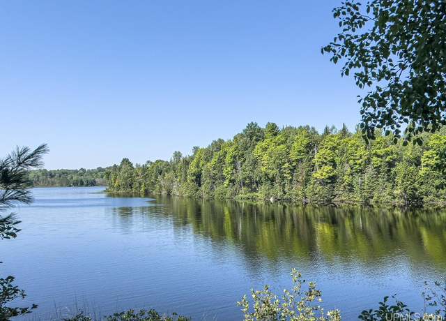 Property at TBD Chaney Rd, Bessemer, MI 49911