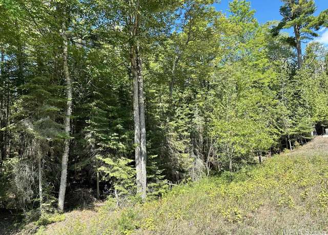 Property at TBD Hemlock Trl, Manistique, MI 49854