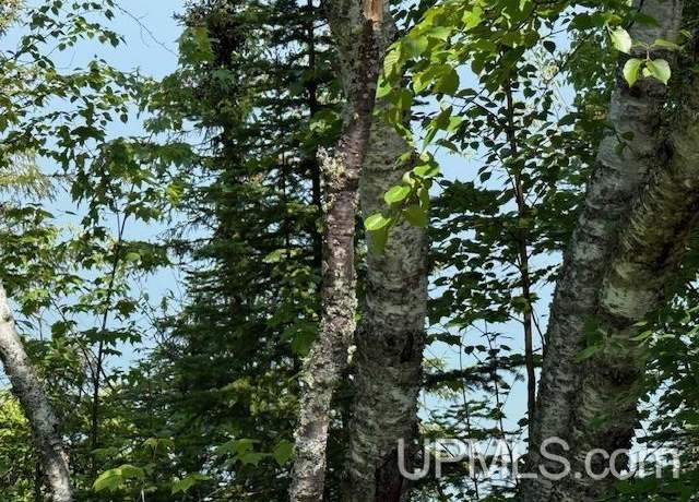 Property at TBD Five Mile Rd, Allouez, MI 49950
