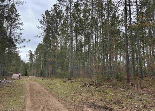 Property at TBD Parcel 3 Paint Rd, Crystal Falls, MI 49920