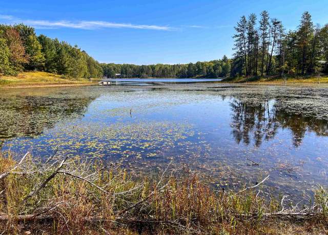 Property at TBD E Martin Rd, Skandia, MI 49885