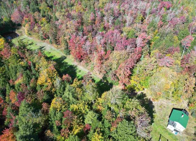 Property at CR 197 Long Lake Rd, Chatham, MI 49816