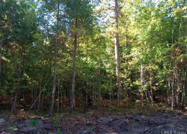 Property at TBD White Pine (lot 7) Way, Marquette, MI 49855