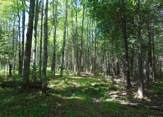 Property at TBD 1 US Hwy 45 Hwy, Bruce Crossing, MI 49912