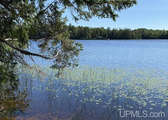 Property at 8713 N Boot Rd, Manistique, MI 49854