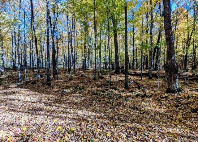 Property at 35 acres M-189 Hwy, Iron River, MI 49935