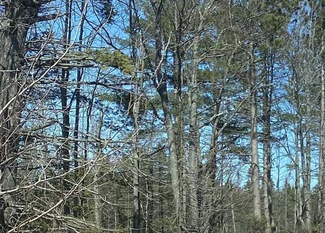 Property at 40 Acres Ski Rd, Little Lake, MI 49833