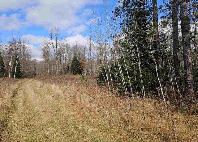 Property at TBD Cataldo Dr, Iron River, MI 49935