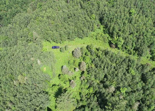 Property at 80 Acres Off M69 Rd, Crystal Falls, MI 49920