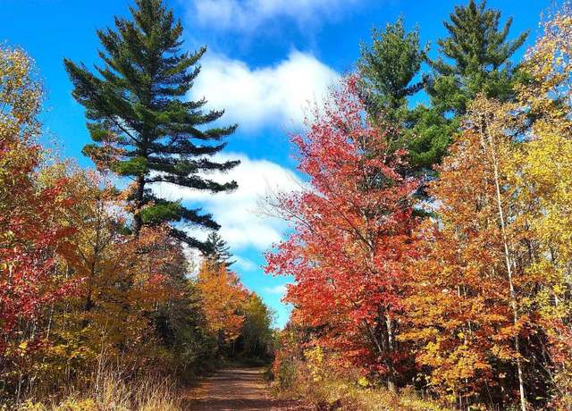 Property at TBD Co Rd Eeb/pohlman Rd, Gwinn, MI 49841