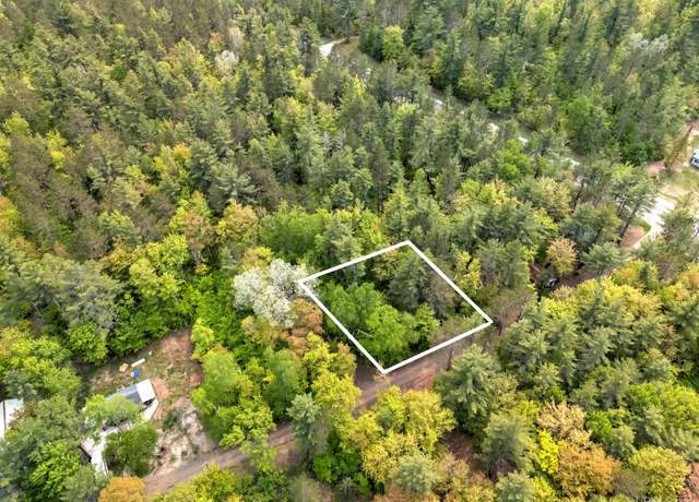 Property at TBD W Lilly Rd, Manistique, MI 49854