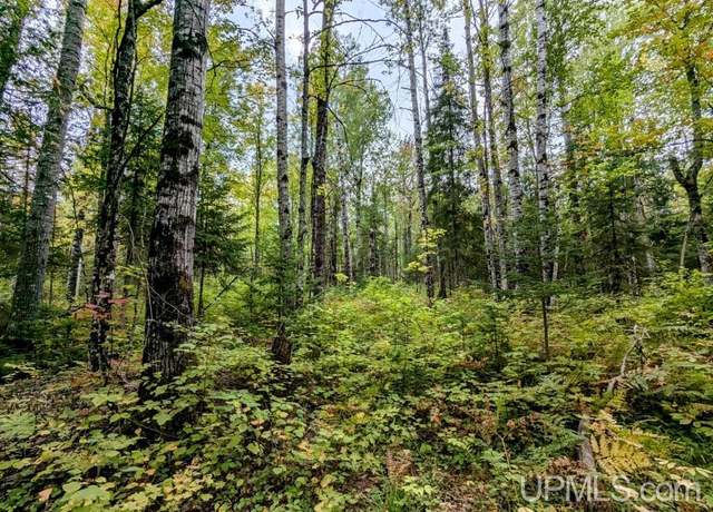 Property at 40 acres 45 Hwy, Bruce Crossing, MI 49912