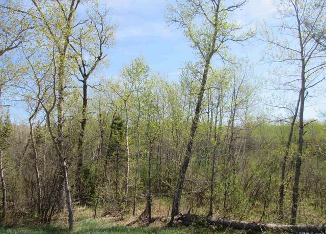 Property at TBD US 141 Rd, Amasa, MI 49903