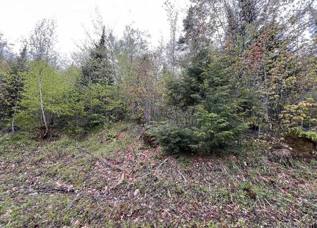 Property at TBD Harborview Unit 10 Dr, Munising, MI 49862