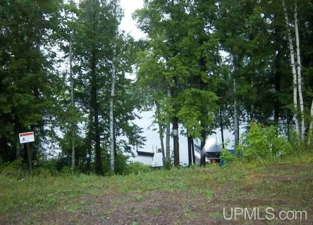 Property at Off Chaney Rd, Bessemer, MI 49911