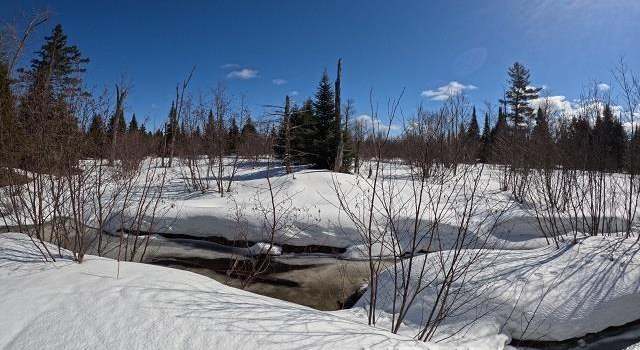 Photo of 120 Acres Selma Rd, Skandia, MI 49885