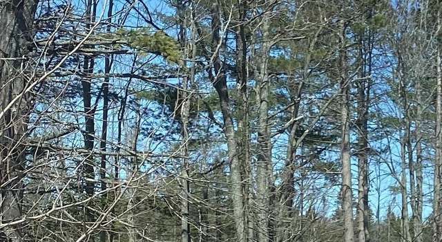Photo of 40 Acres Ski Rd, Little Lake, MI 49833