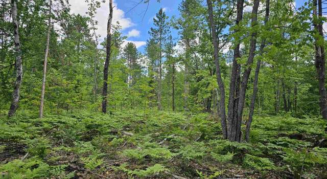 Photo of 253 Beauyan Rd, Little Lake, MI 49833