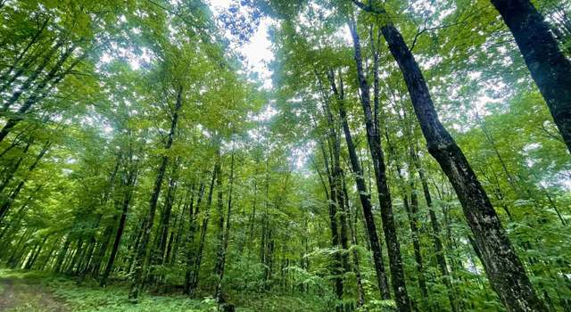 Photo of 40 Acres N Fordville Trl, Hardwood, MI 49880