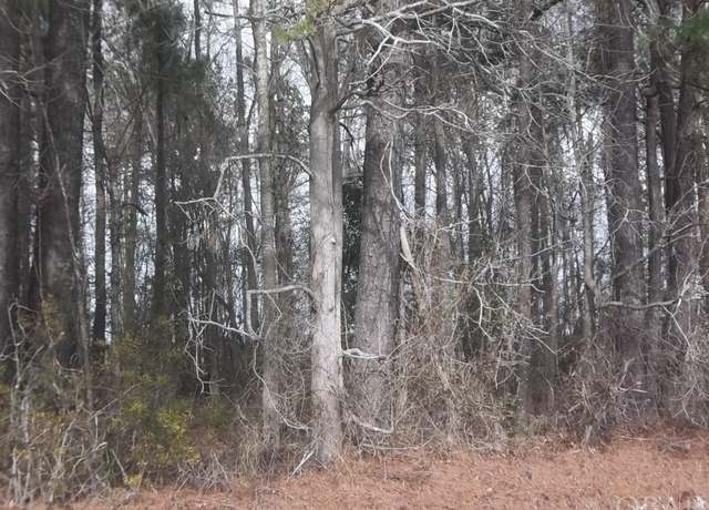 Property at TBD Griffin Swamp Rd Lot 1, Elizabeth City, NC 27909
