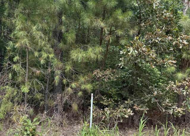 Property at TBD Boat Ramp Rd Lot 1, New Hope, NC 27944