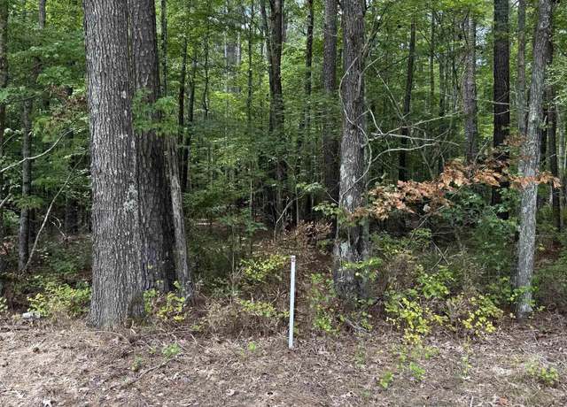 Property at TBD Boat Ramp Rd Lot 2, New Hope, NC 27944