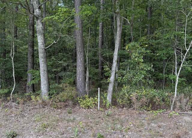 Property at TBD Boat Ramp Rd Lot 3, New Hope, NC 27944