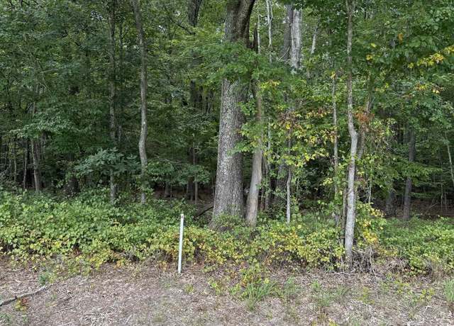 Property at TBD Boat Ramp Rd Lot 4, New Hope, NC 27944