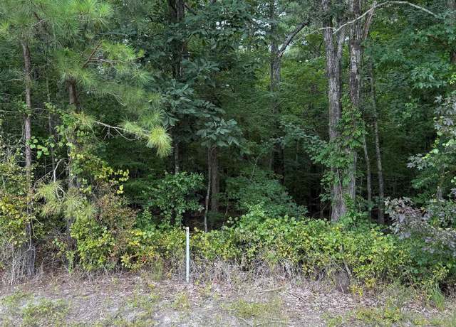 Property at TBD Boat Ramp Rd Lot 5, New Hope, NC 27944