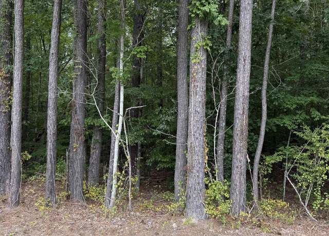 Property at TBD Boat Ramp Rd Lot 6, New Hope, NC 27944