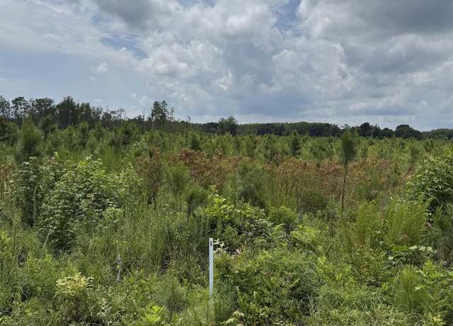 Property at TBD Cove Rd Lot 2, New Hope, NC 27944